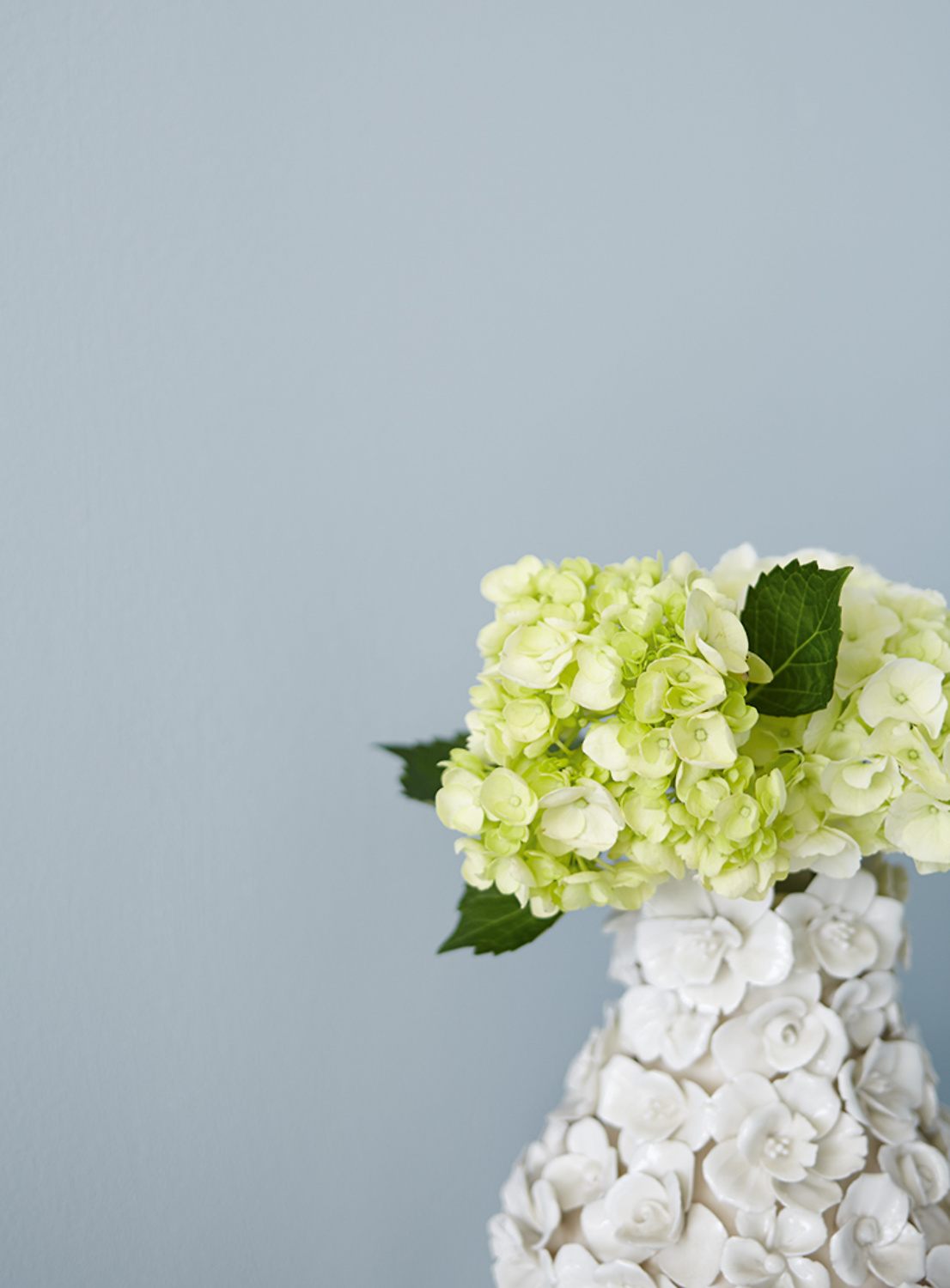 Premium Wandfarbe Blau Blaugrau Alpina Feine Farben Steinblaue Schonheit Alpina Farben Baltic