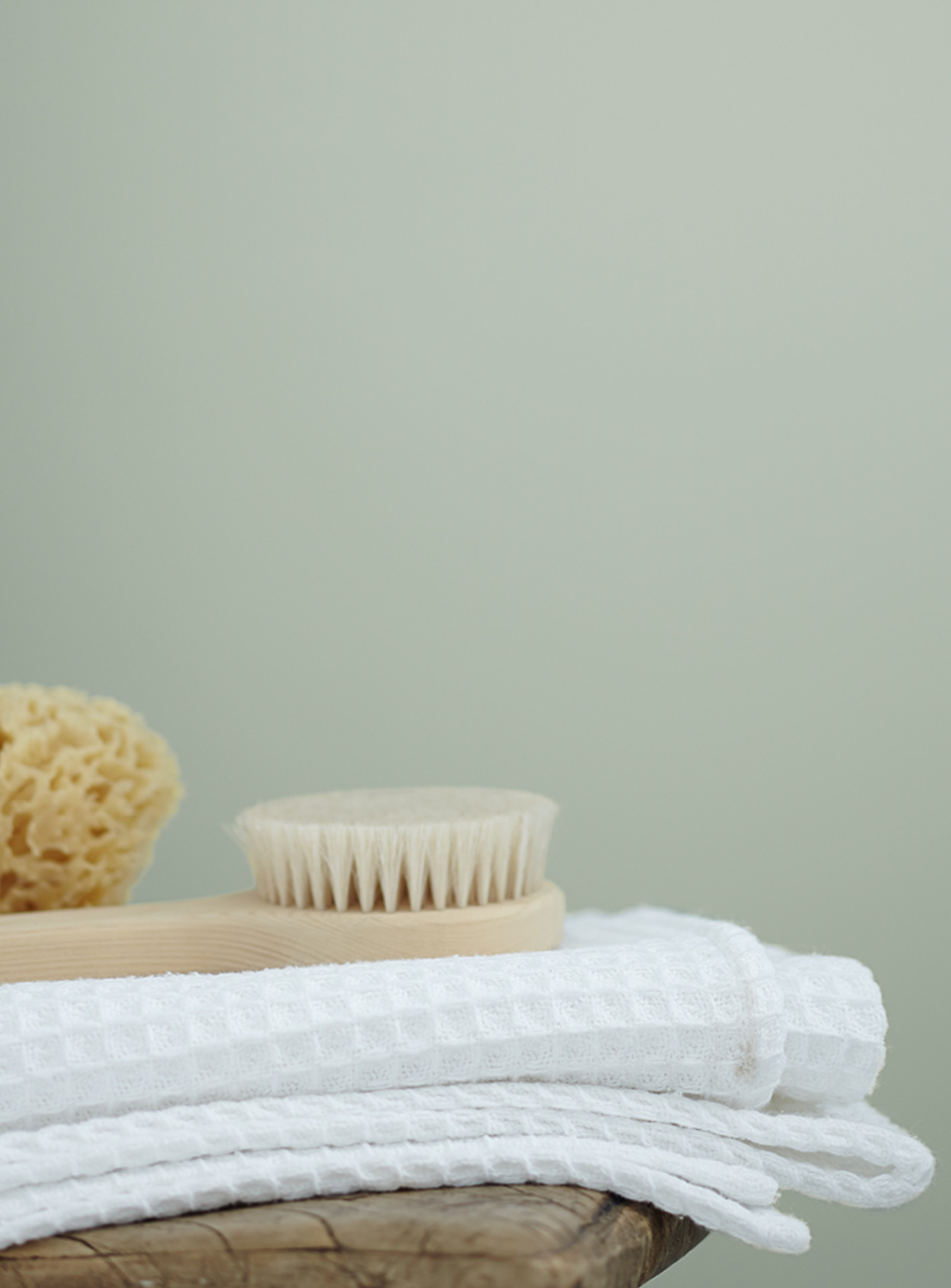 Premium Wandfarbe Grun Graugrun Alpina Feine Farben Sanfter Morgentau Alpina Farben Baltic